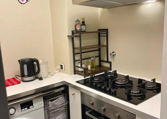 Tor Di Quinto Ponte Milvio Farnesina Luxury Loft With Private Box Parking Апартаменты